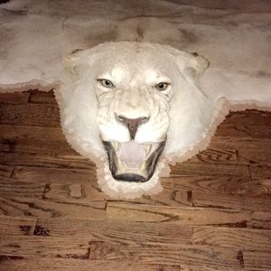 Meet your Posher, Frane